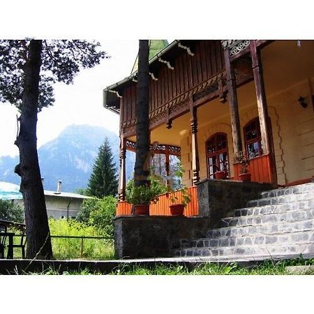 Casa Frasin Ξενοδοχείο Buşteni Εξωτερικό φωτογραφία