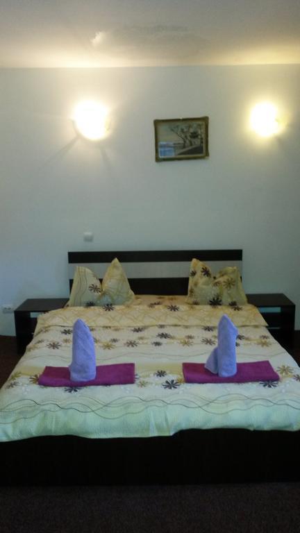 Casa Frasin Ξενοδοχείο Buşteni Εξωτερικό φωτογραφία